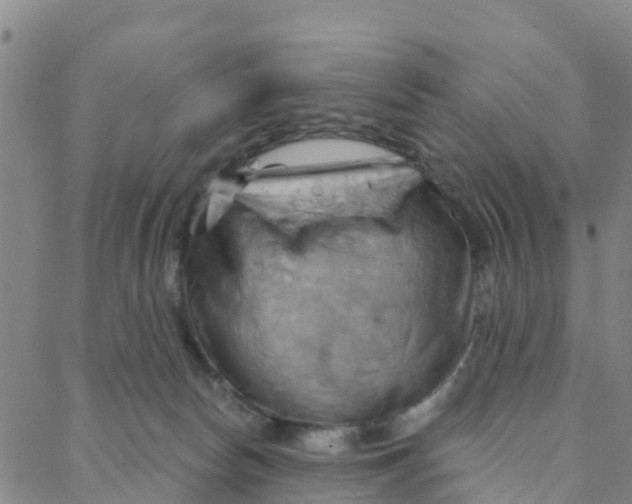 X0000088380178200706121154