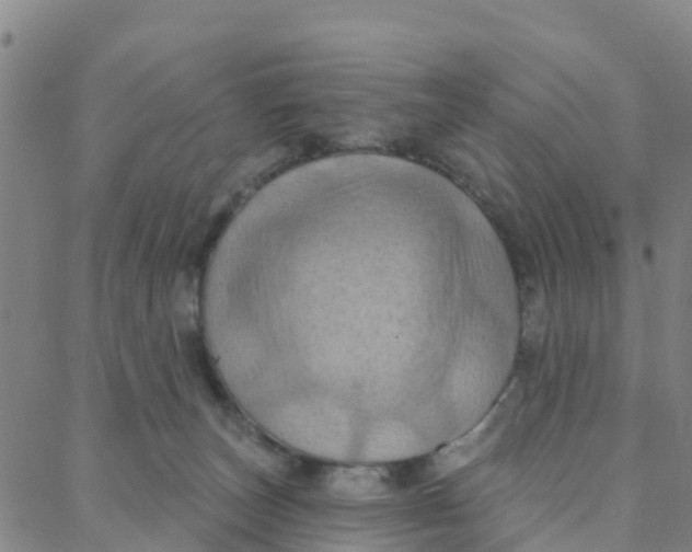 X0000088380179200706121154