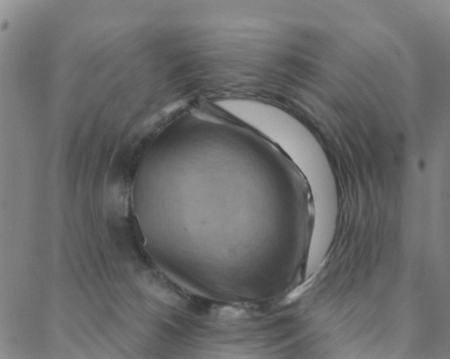 X0000088380180200706121154