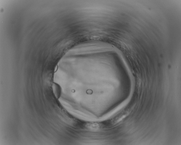 X0000088380181200706121154