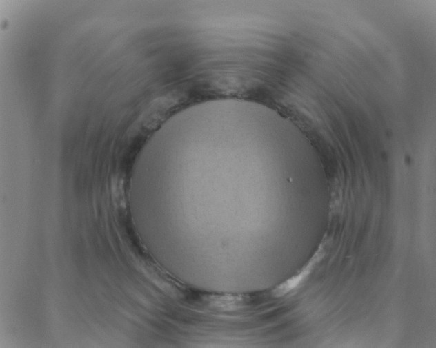 X0000088380182200706121154