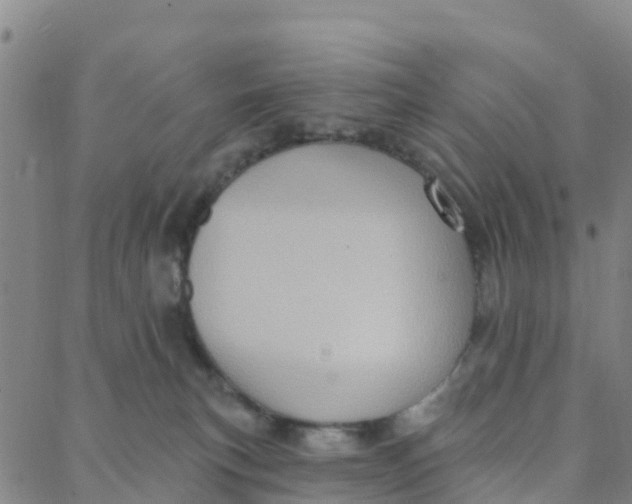 X0000088380183200706121154