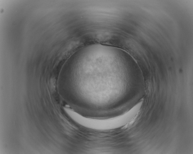 X0000088380184200706121154