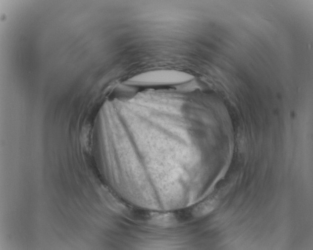 X0000088380185200706121154