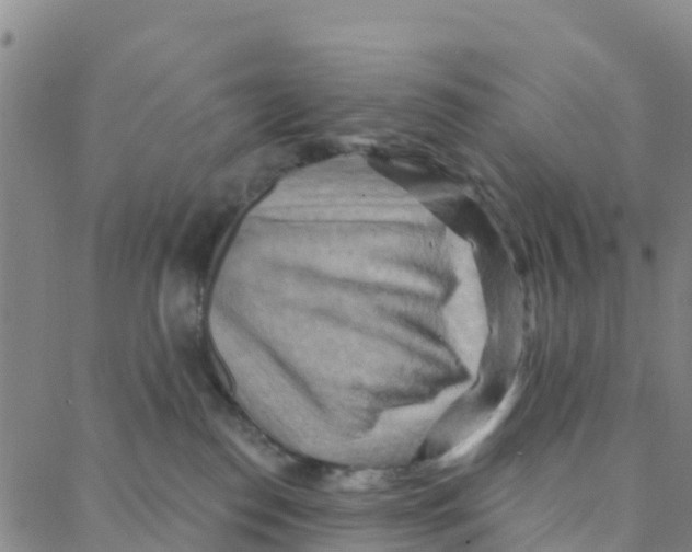 X0000088380186200706121154