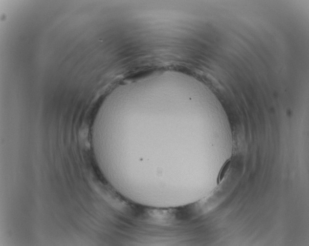 X0000088380187200706121154