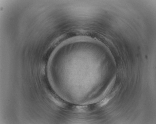 X0000088380188200706121154