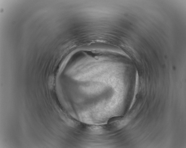 X0000088380189200706121154