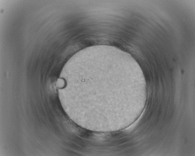 X0000088380190200706121154