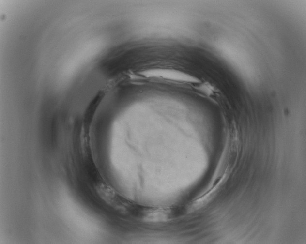 X0000088380191200706121154