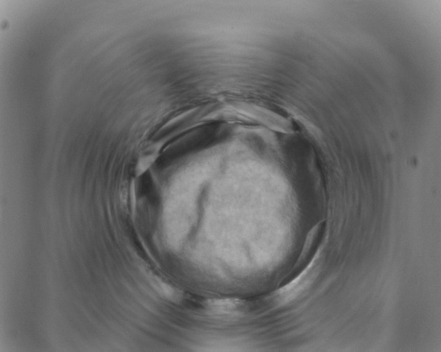 X0000088380192200706121154