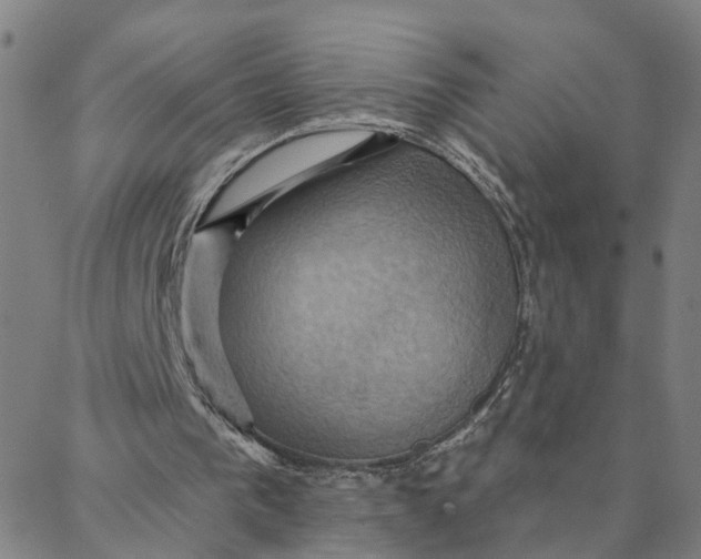 X0000088380193200706121153