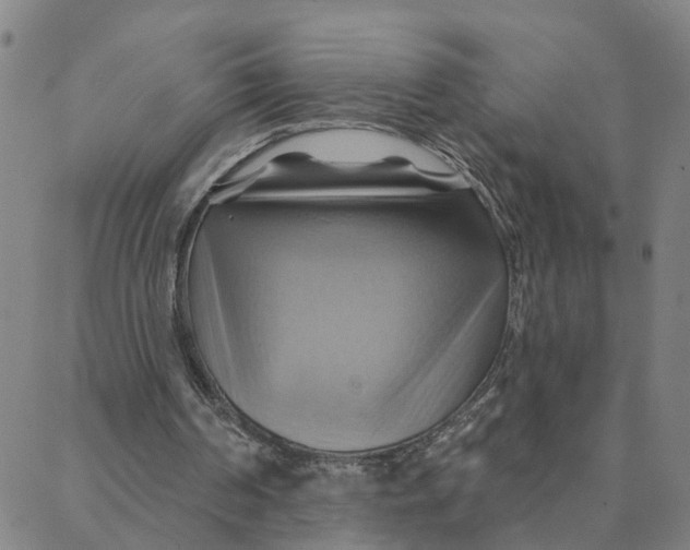 X0000088380194200706121153