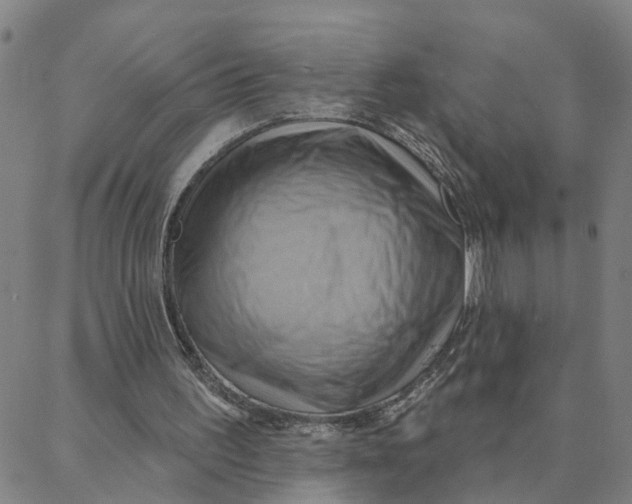 X0000088380195200706121153