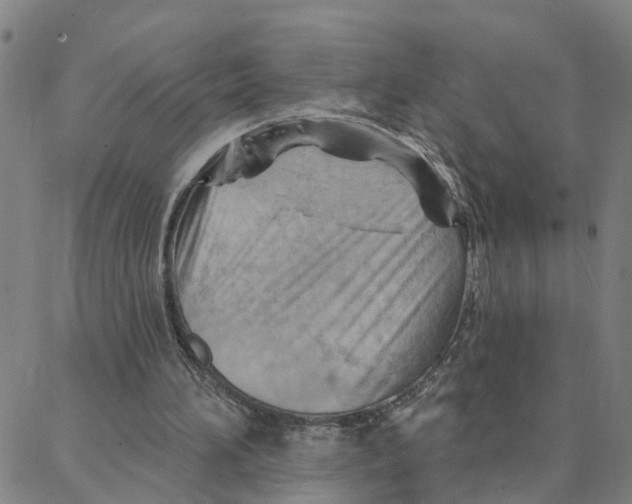 X0000088380196200706121153