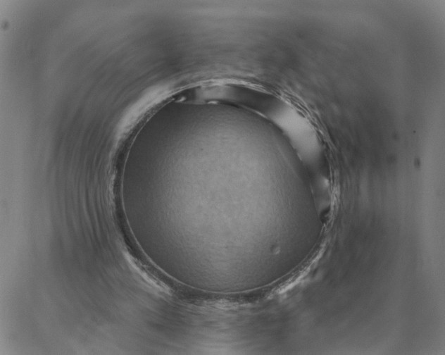 X0000088380197200706121153