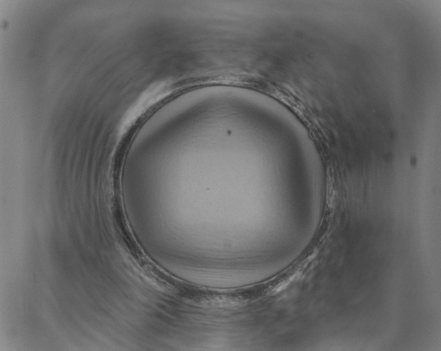 X0000088380198200706121153