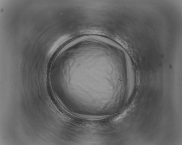 X0000088380199200706121153