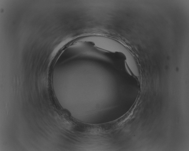 X0000088380200200706121153