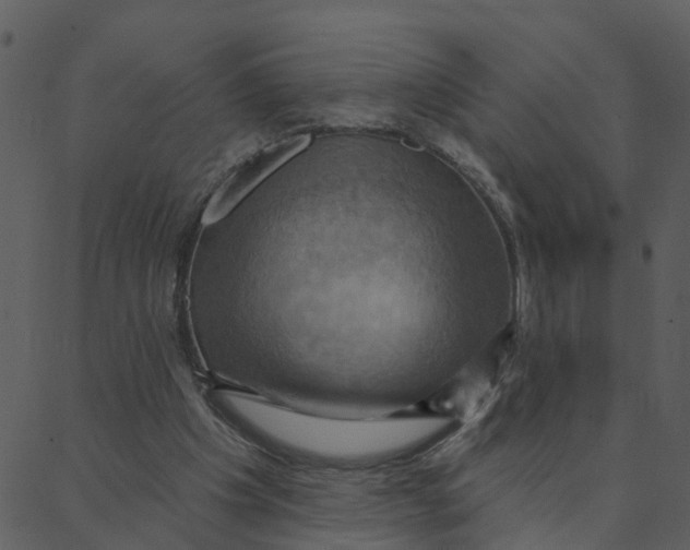 X0000088380201200706121153