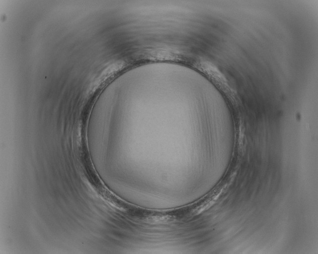 X0000088380202200706121153