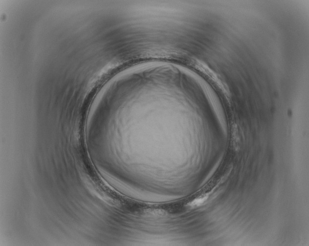 X0000088380203200706121153