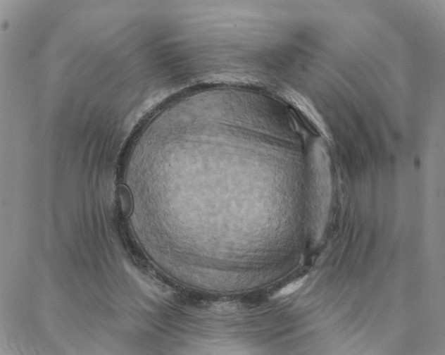 X0000088380204200706121153