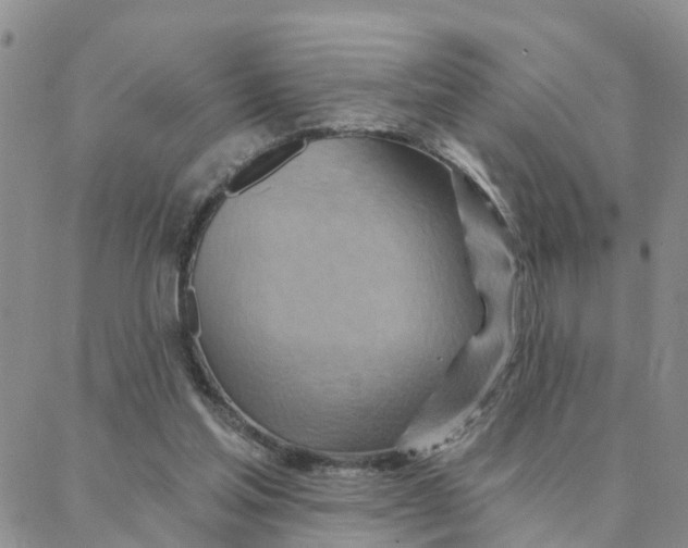 X0000088380205200706121153