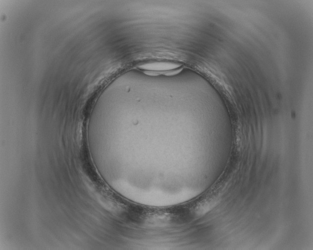 X0000088380206200706121153