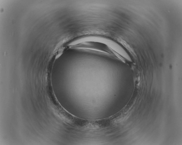 X0000088380207200706121153