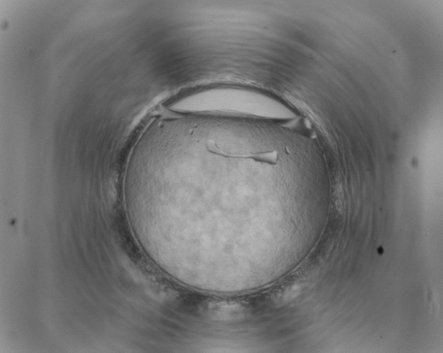 X0000088380208200706121153