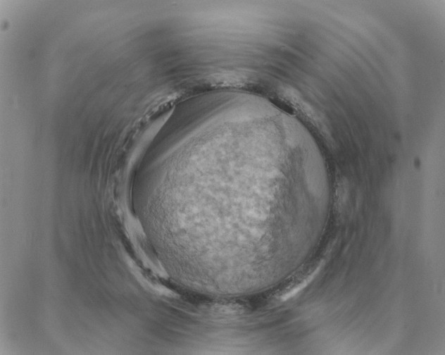 X0000088380209200706121153