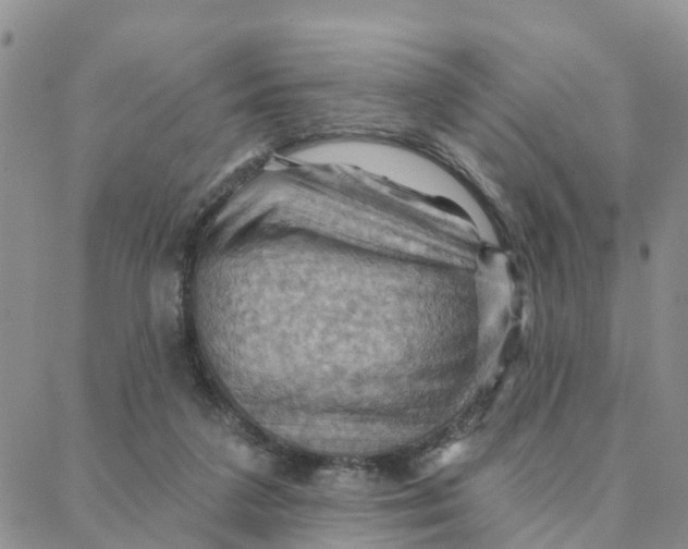 X0000088380211200706121153