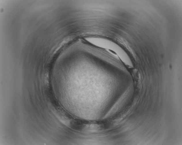 X0000088380212200706121153