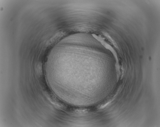 X0000088380213200706121153