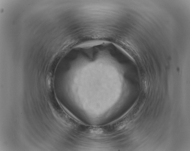 X0000088380214200706121153