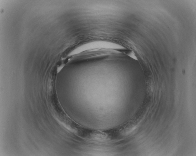 X0000088380215200706121153