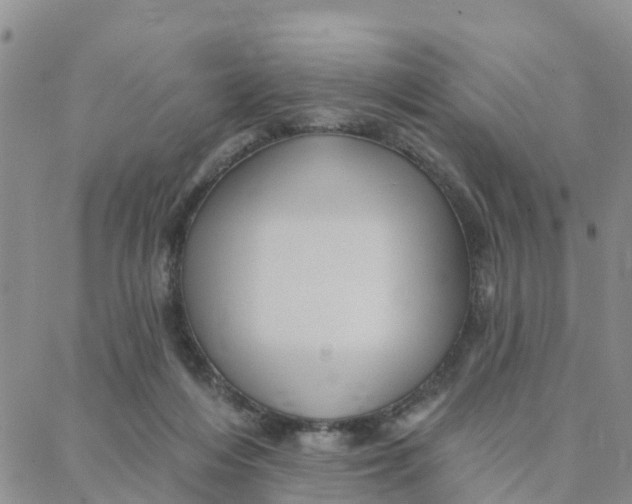 X0000088380216200706121153