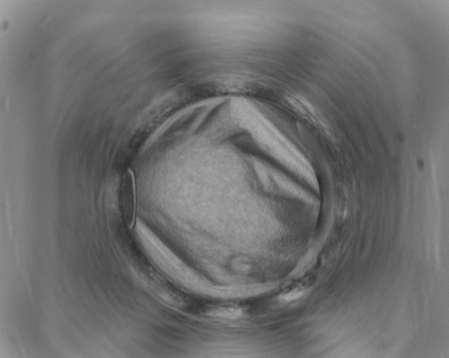 X0000088380217200706121153