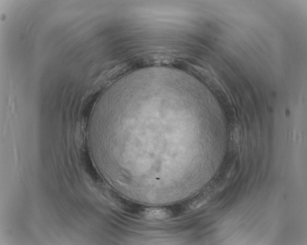 X0000088380218200706121153