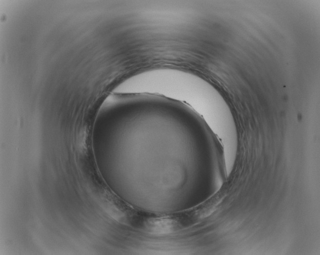 X0000088380219200706121153