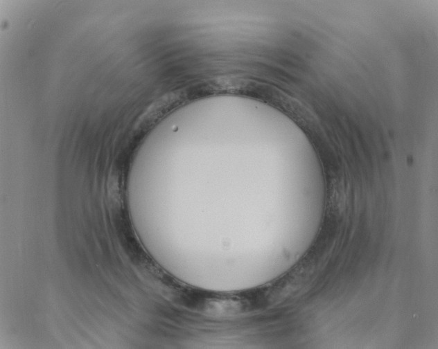 X0000088380220200706121153