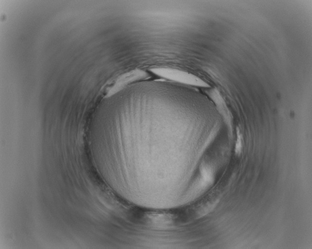 X0000088380221200706121153