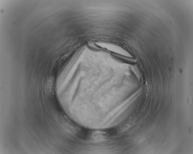 X0000088380222200706121153