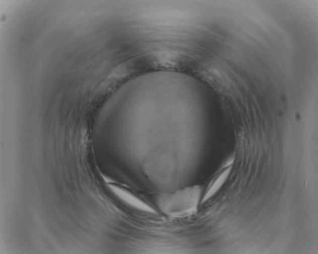 X0000088380223200706121153