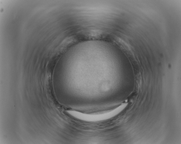 X0000088380225200706121153