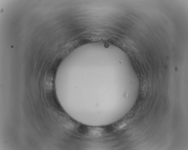 X0000088380226200706121153