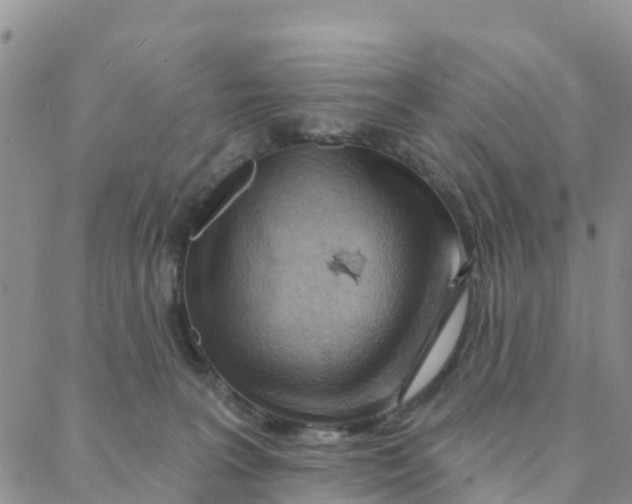 X0000088380227200706121153