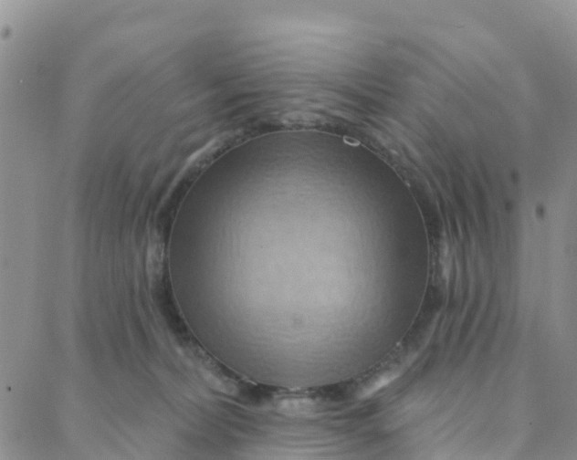 X0000088380228200706121153