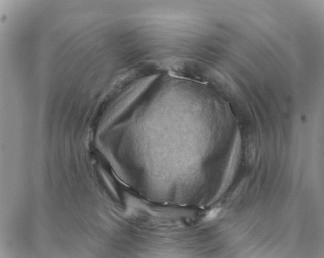 X0000088380229200706121153